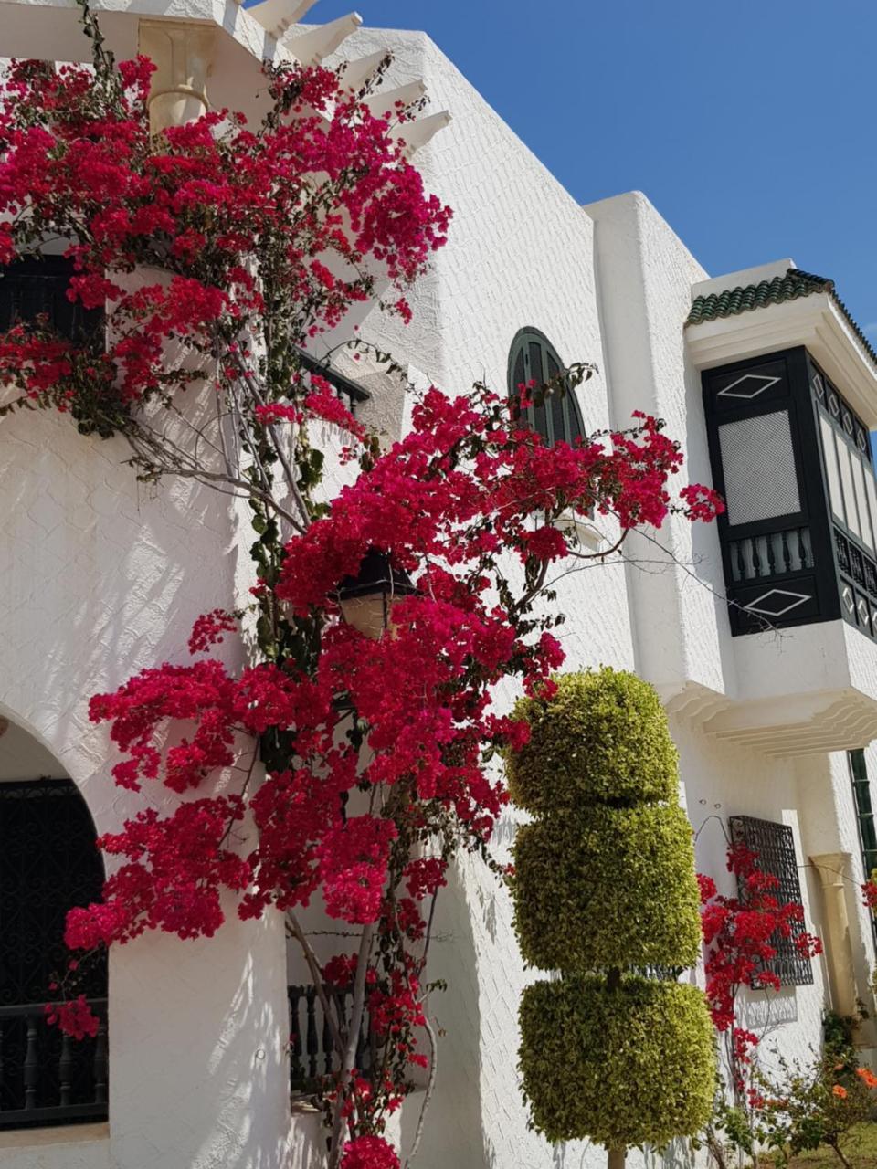 Bungalows Port El Kantaoui *